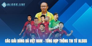 Các giải bóng đá Việt Nam