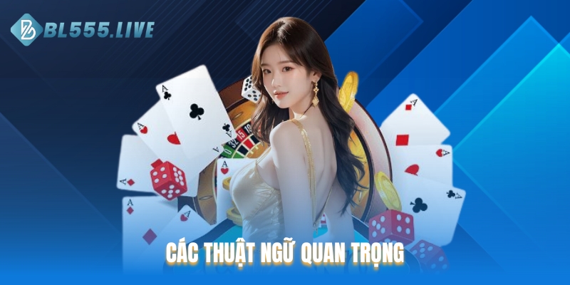 Các thuật ngữ quan trọng