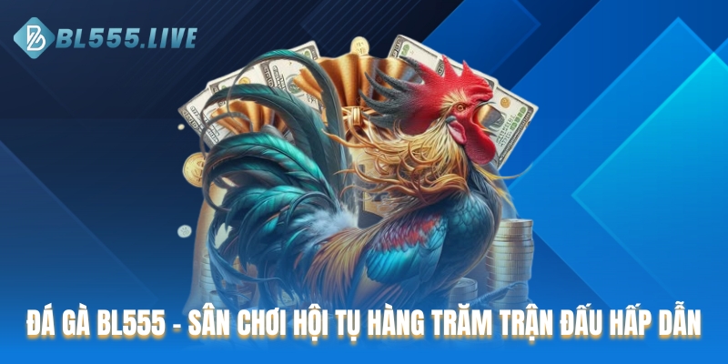 Đá gà BL555