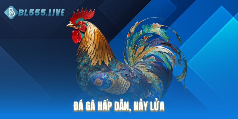 Đá gà hấp dẫn, nảy lửa