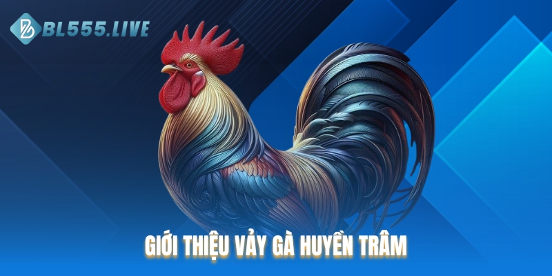Giới thiệu vảy gà huyền trâm