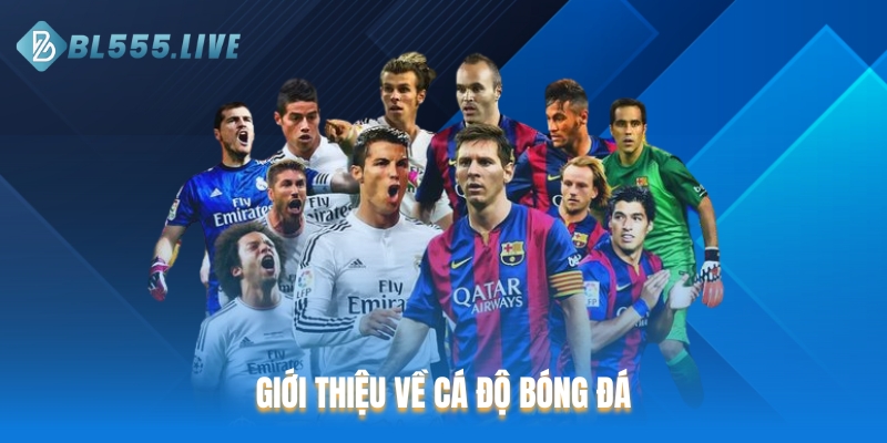 Giới thiệu về cá độ bóng đá