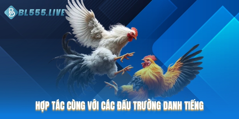 Hợp tác cùng với các đấu trường danh tiếng