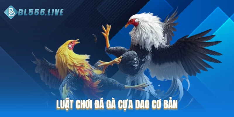 Luật chơi đá gà cựa dao mà game thủ cần nắm vững